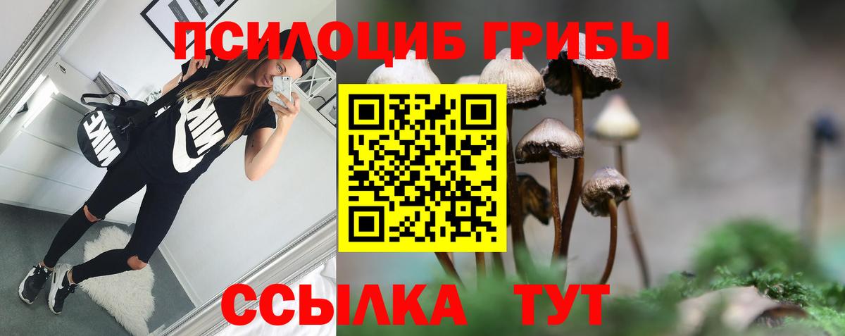 Галлюциногенные грибы MAGIC MUSHROOMS Ступино